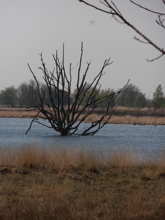 Gezond Boeren Verstand Dalerveen Esterno foto