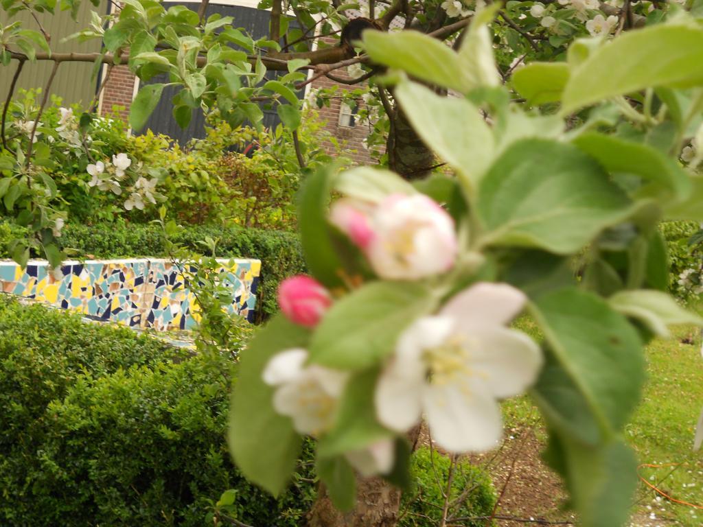 Gezond Boeren Verstand Dalerveen Esterno foto